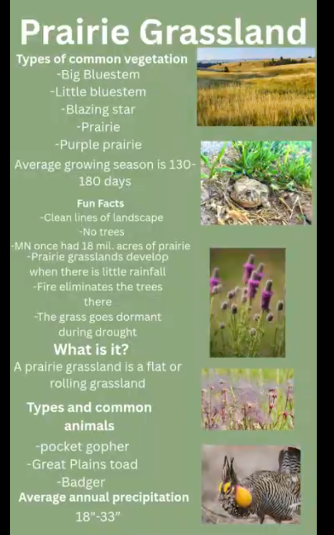 Mrs Holland's 7th Grade Science Biome Projects--Check it out!